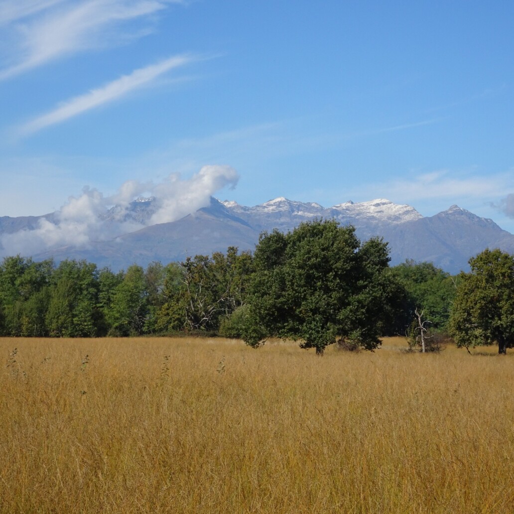 La savana in bicicletta