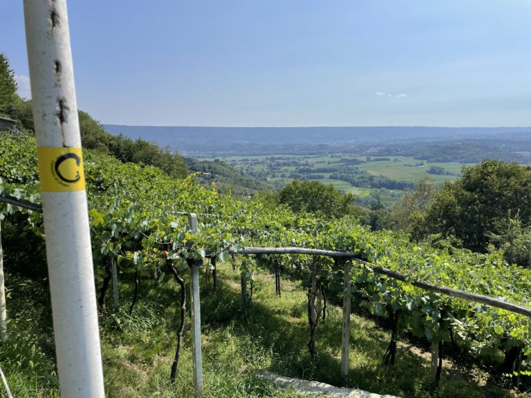 Il Cammino di Oropa Canavesano – Da Vidracco a Ivrea – Tappa 3