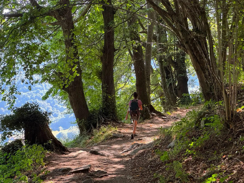 Il Cammino di Oropa della pace – Da Pettinengo a Oropa – Tappa 2