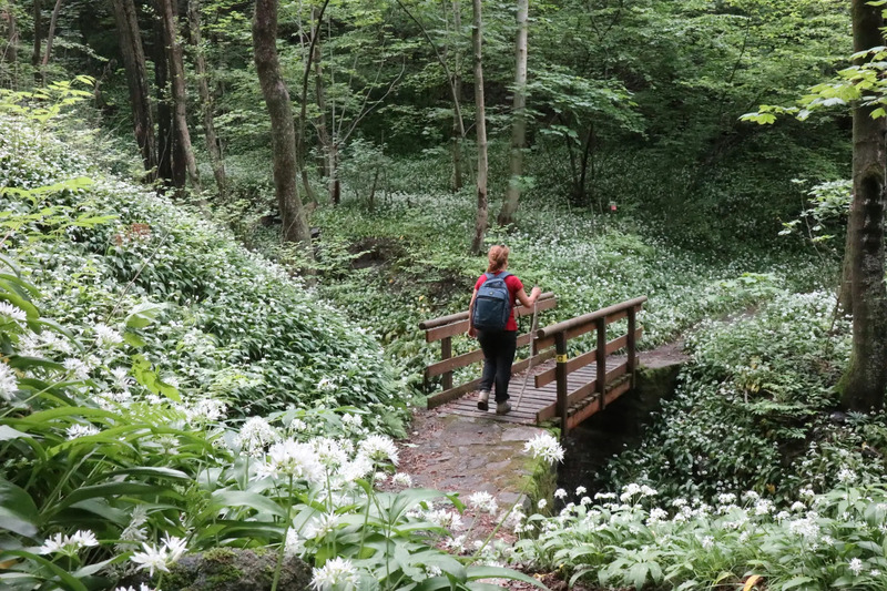 Il Cammino di Oropa della pace – Da Oropa a Biella – Tappa 3